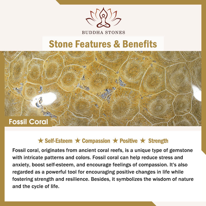 Natural Fossil Coral Beaded Compassion Bracelet
