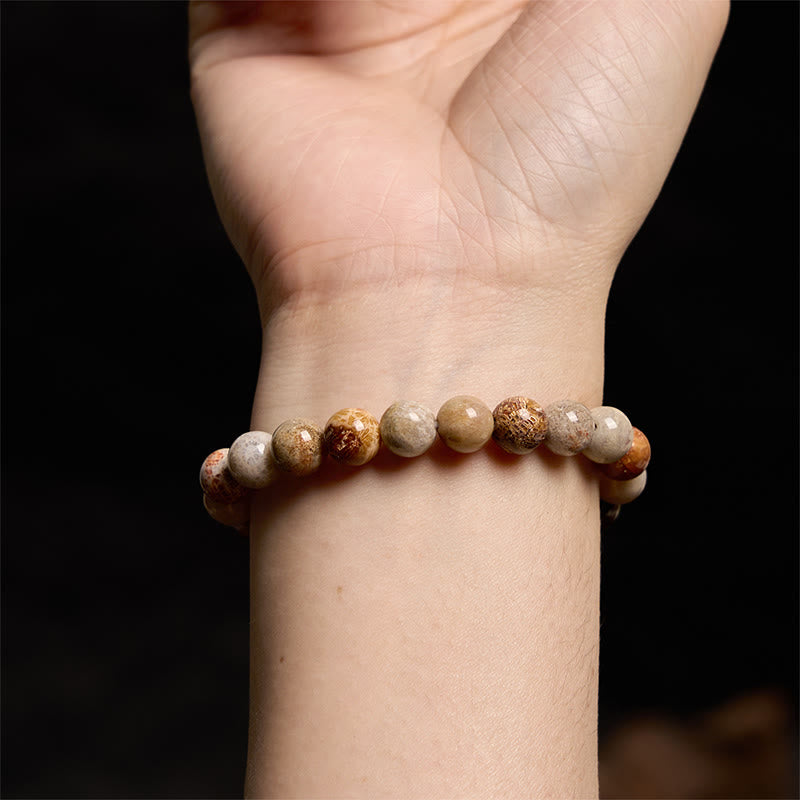 Natural Fossil Coral Round Bead Energy Bracelet