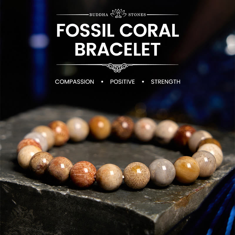 Natural Fossil Coral Round Bead Energy Bracelet