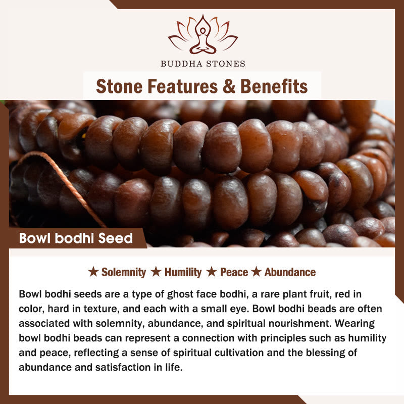 Tiger Eye & 108 Bowl Bodhi Seed Multi-Layer Meditation Mala Bracelet