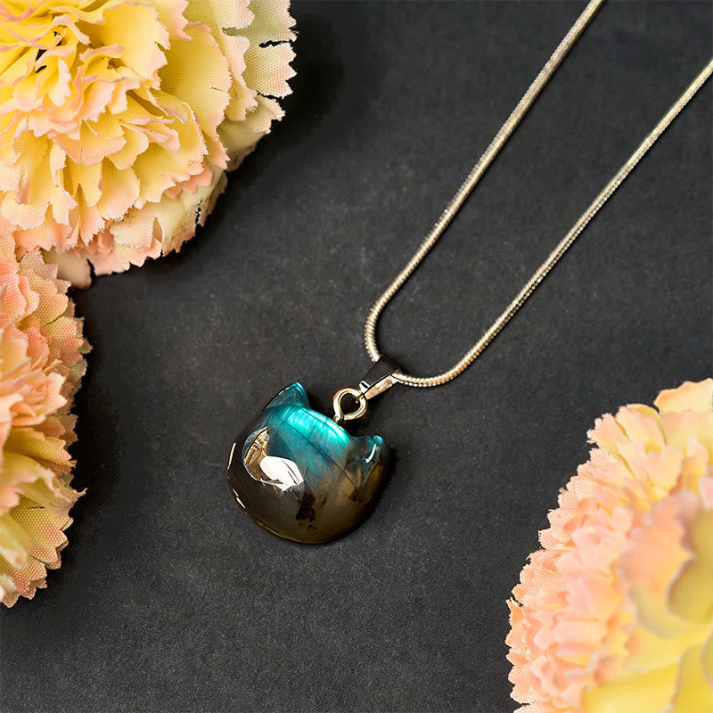 "Hoping for Insight and Joy" Cat Labradorite Necklace Includes Gift Message Card
