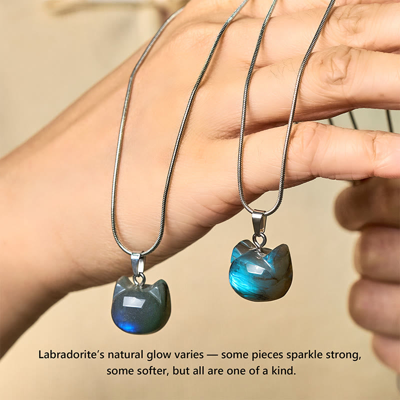"Hoping for Insight and Joy" Cat Labradorite Necklace Includes Gift Message Card