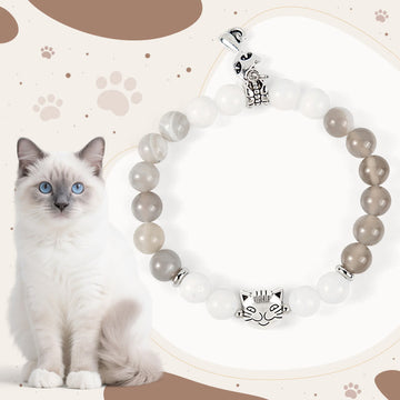 Ragdoll Cat Gray Striped Agate Chalcedony Support Bracelet