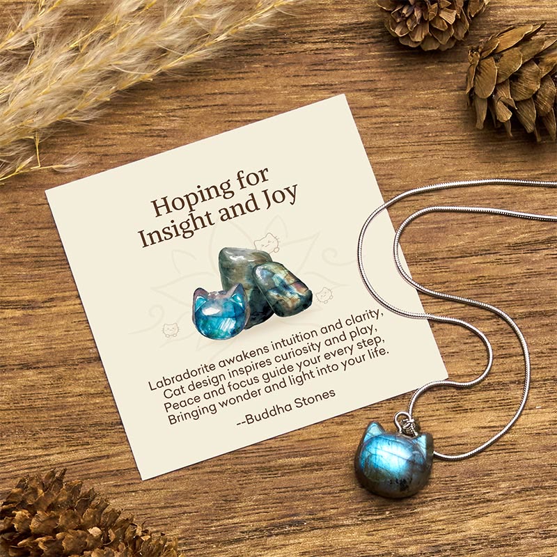 "Hoping for Insight and Joy" Cat Labradorite Necklace Includes Gift Message Card
