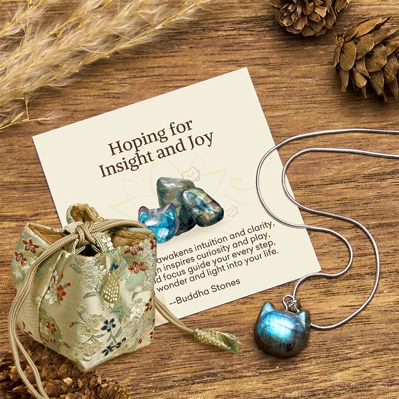 "Hoping for Insight and Joy" Cat Labradorite Necklace Includes Gift Message Card