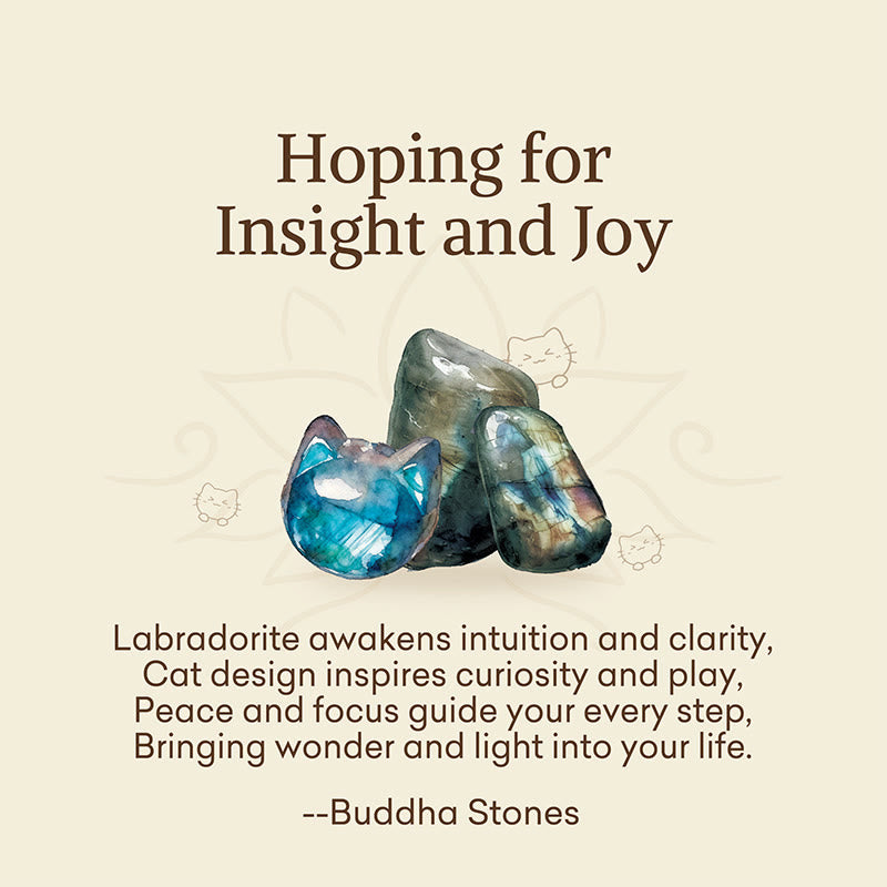 "Hoping for Insight and Joy" Cat Labradorite Necklace Includes Gift Message Card