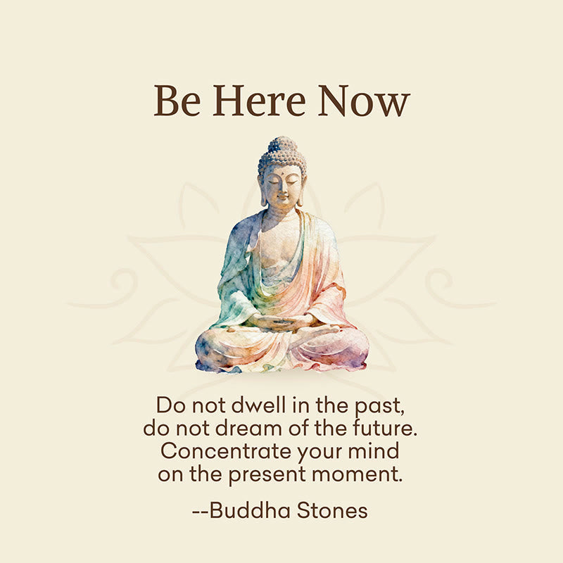 "Be Here Now" Casual Buddha Lotus Dragonfly Women's Socks Includes Gift Message Card