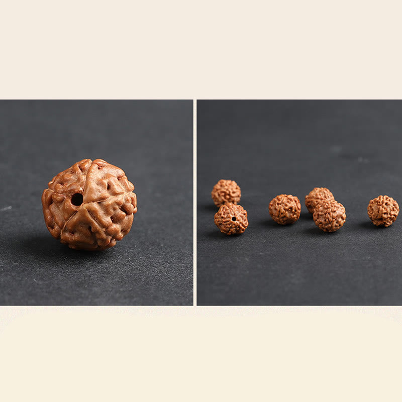 Energetic Rudraksha Bodhi Seed Pixiu Copper Chinese Coin Bracelet
