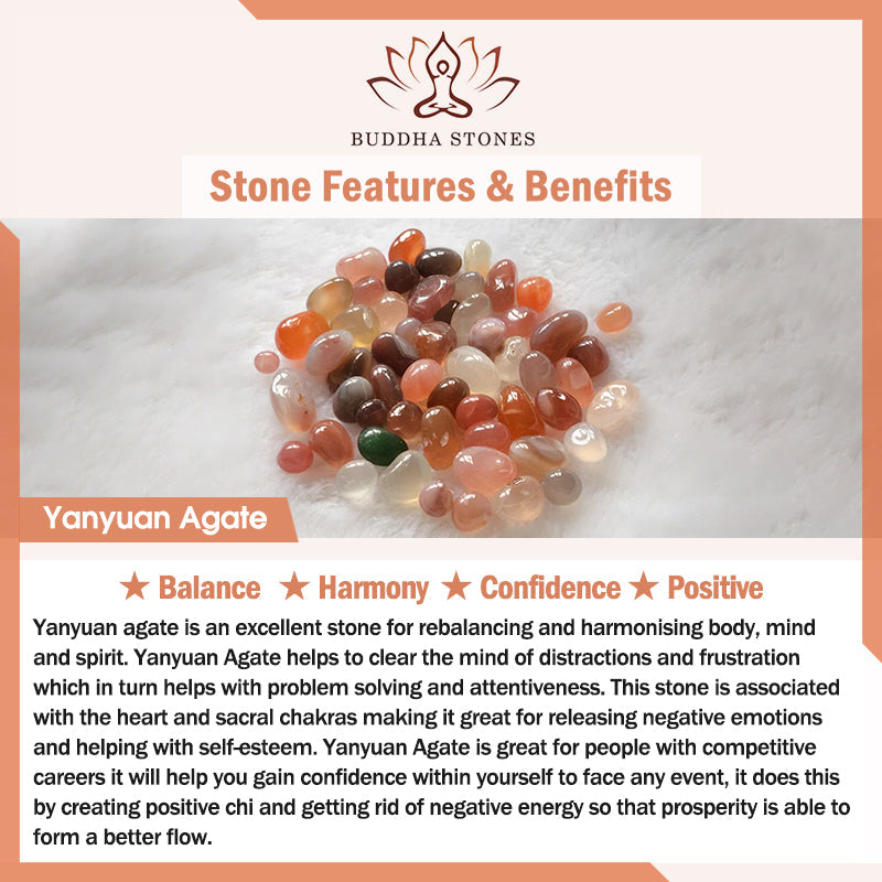 Natural Yanyuan and Red Agate Carved Cat Paw Grounding Bracelet