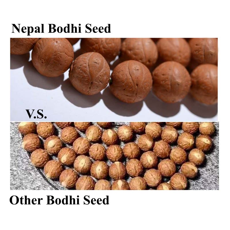 Handmade Nepal 108 Bodhi Seed Mala Tassel Bracelet