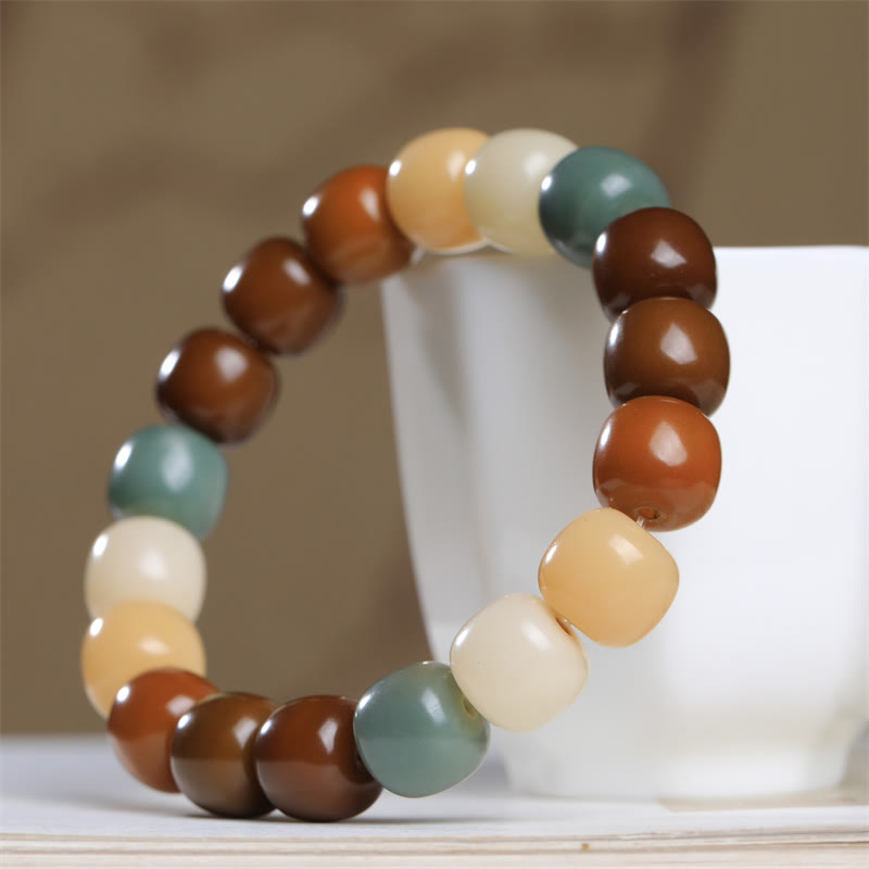 Multicolored Bodhi Seed Keep Away Evil Spirits Bracelet