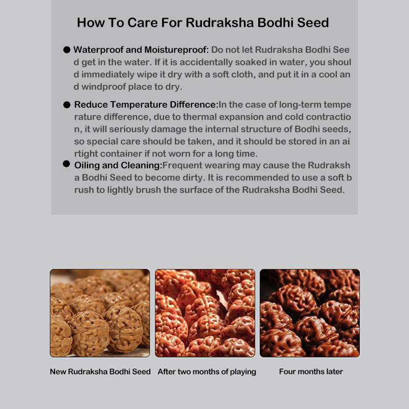 Tibetan Rudraksha Bodhi Seed Agate Wealth Bracelet
