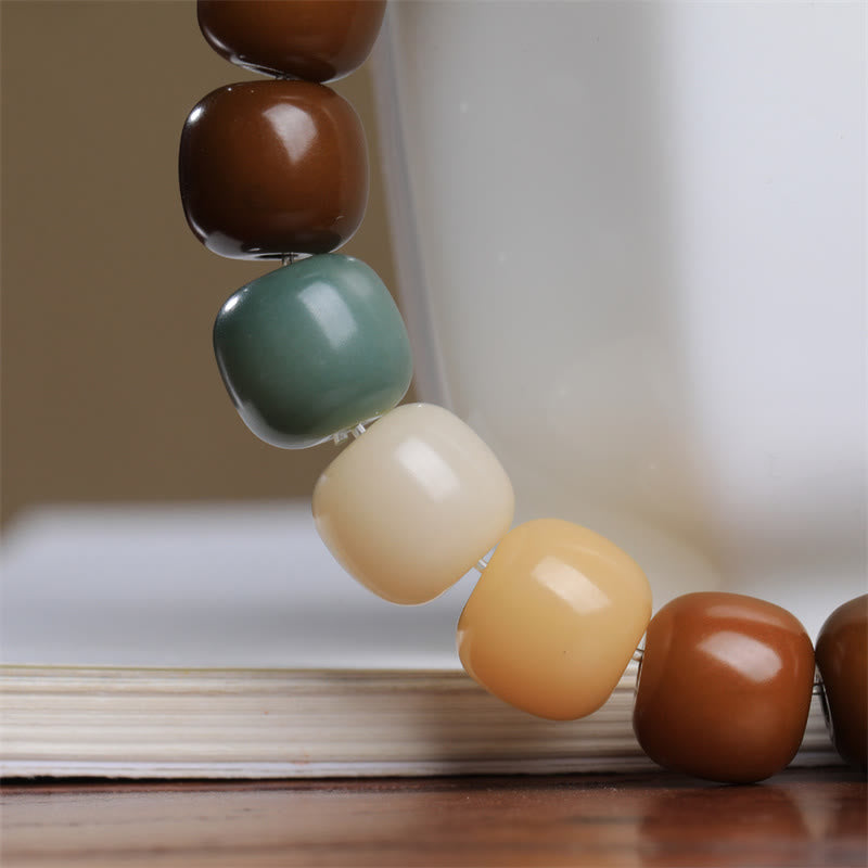 Multicolored Bodhi Seed Keep Away Evil Spirits Bracelet