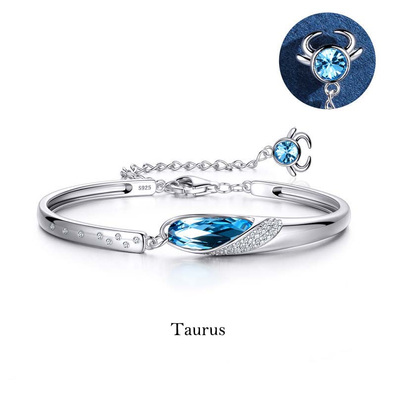 925 Silver Plated Copper 12 Constellations of the Zodiac Charm Bracelet