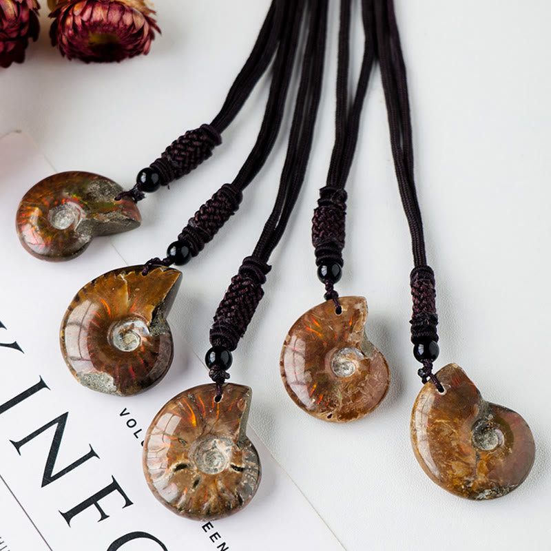 Natural Ammonite Fossil Snail Pattern Meditation Healing Necklace Pendant