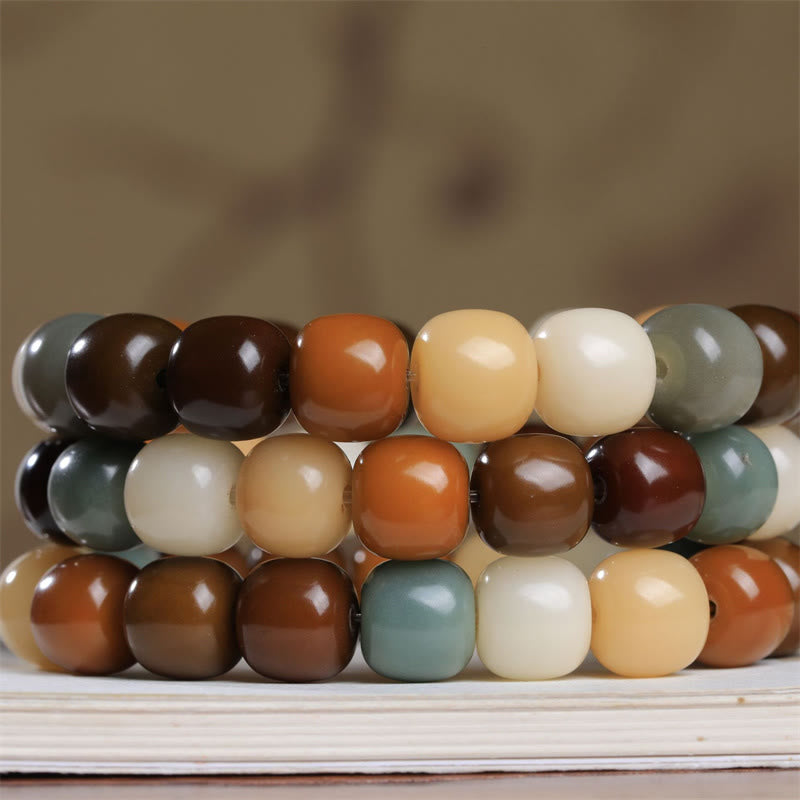 Multicolored Bodhi Seed Keep Away Evil Spirits Bracelet