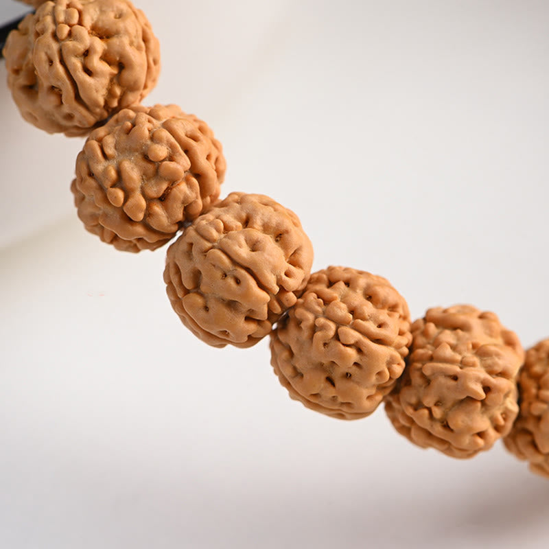 Tibetan Rudraksha & Bodhi Seed Bracelet with Hetian Jade and Gold Sheen Obsidian