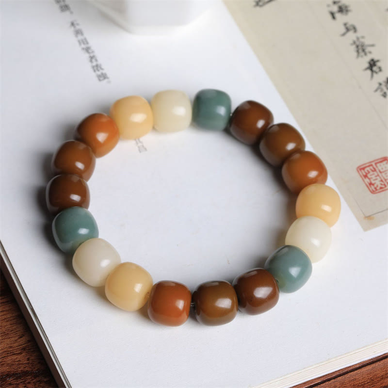 Multicolored Bodhi Seed Keep Away Evil Spirits Bracelet