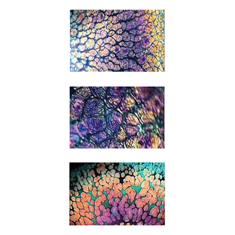 Vintage Red Brown Chinese Jianzhan Porcelain Teacup Kung Fu Tea Cup