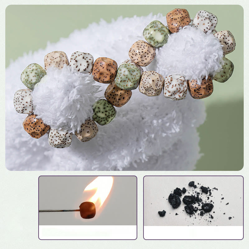 Natural Colorful Bodhi Seed Auspiciousness Wealth Bracelet