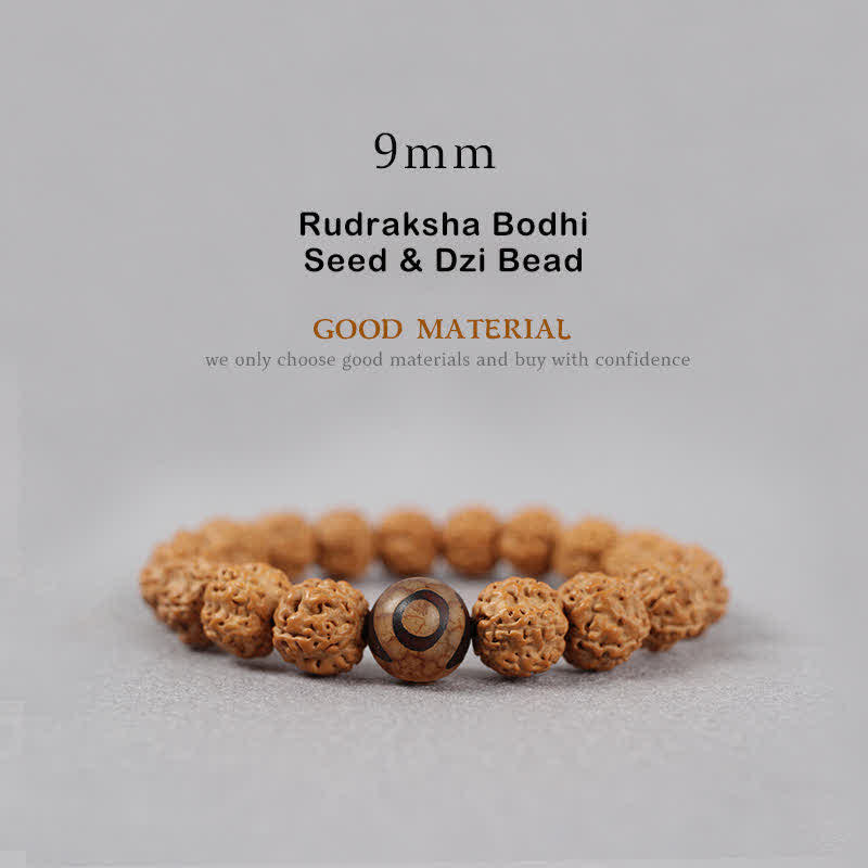 Tibet Rudraksha Bodhi Seed Dzi Bead Amber Turquoise Wealth Bracelet