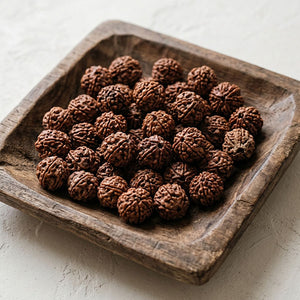 Rudraksha