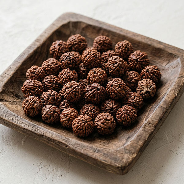 Rudraksha